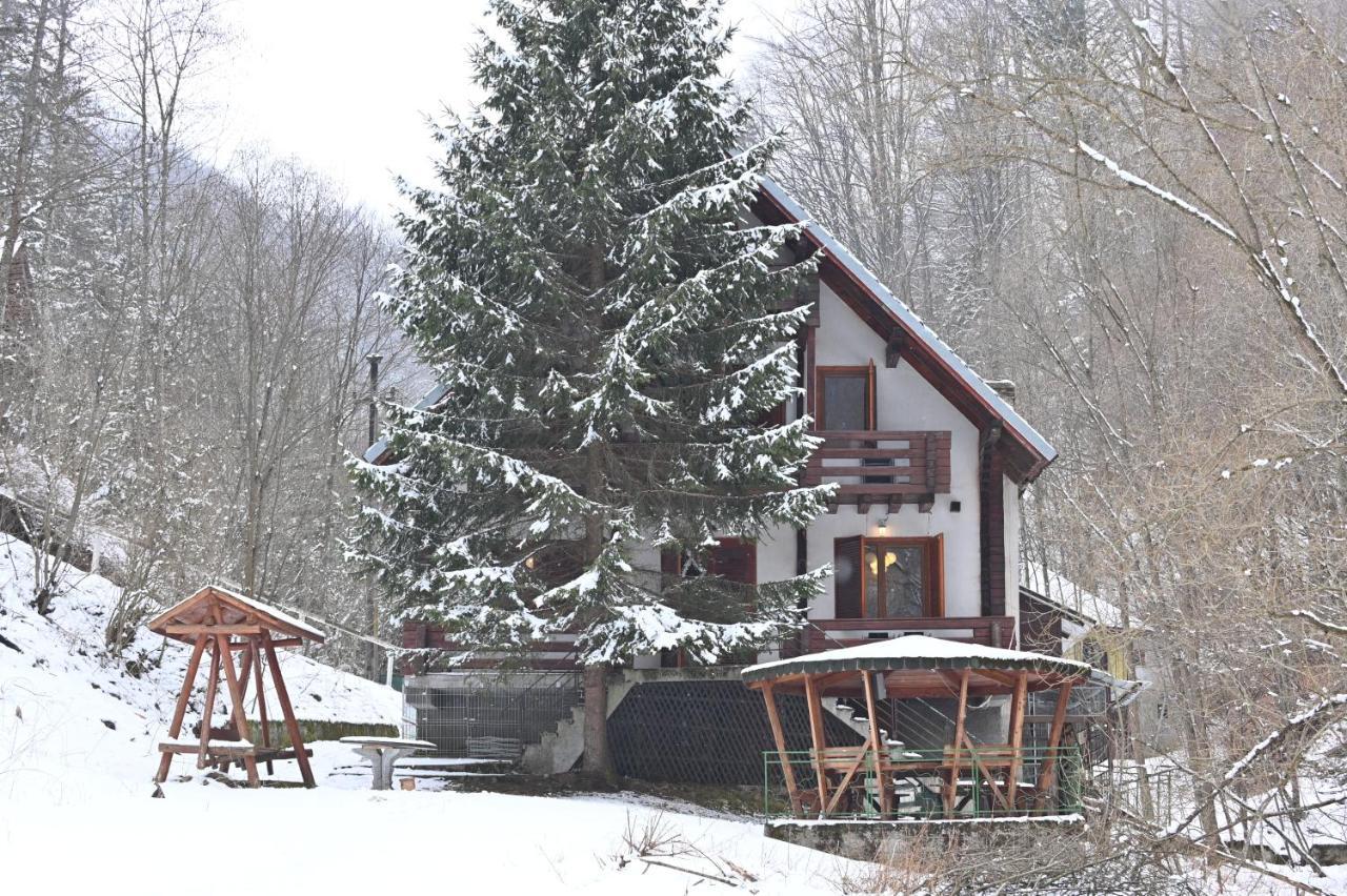 Casa De Vacanta Satic Piatra Craiului La Doi Viermi Zewnętrze zdjęcie