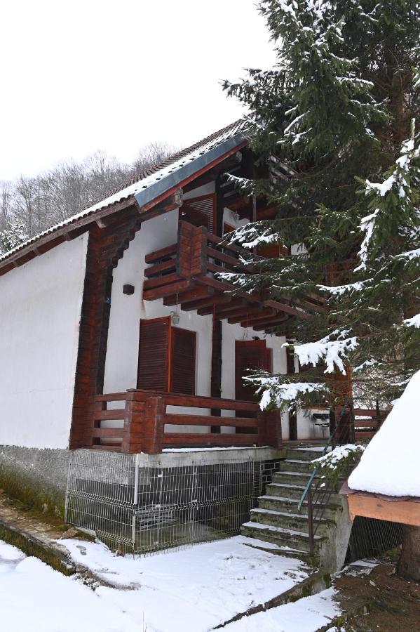 Casa De Vacanta Satic Piatra Craiului La Doi Viermi Zewnętrze zdjęcie