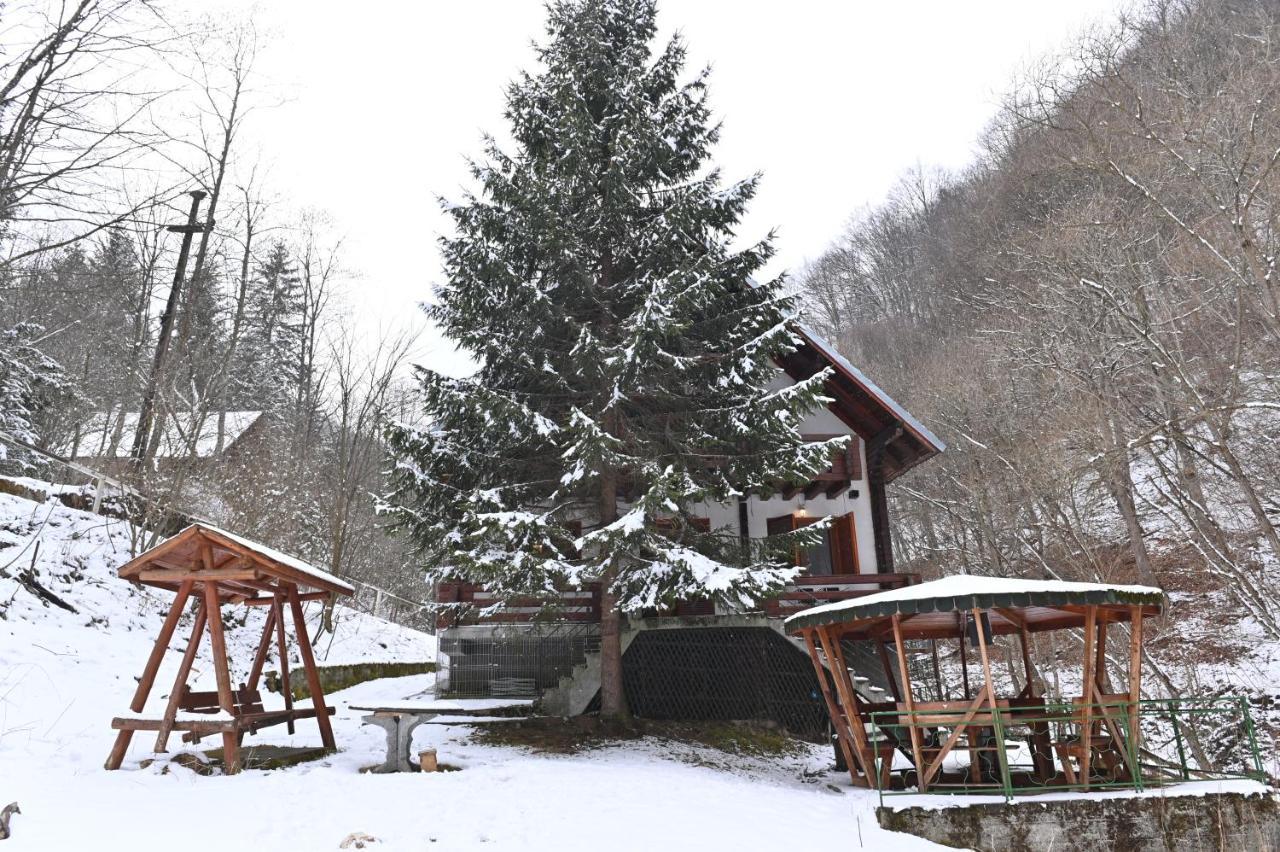 Casa De Vacanta Satic Piatra Craiului La Doi Viermi Zewnętrze zdjęcie