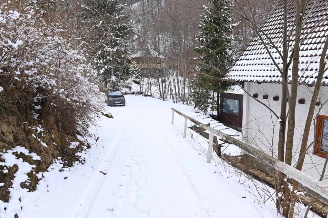 Casa De Vacanta Satic Piatra Craiului La Doi Viermi Zewnętrze zdjęcie