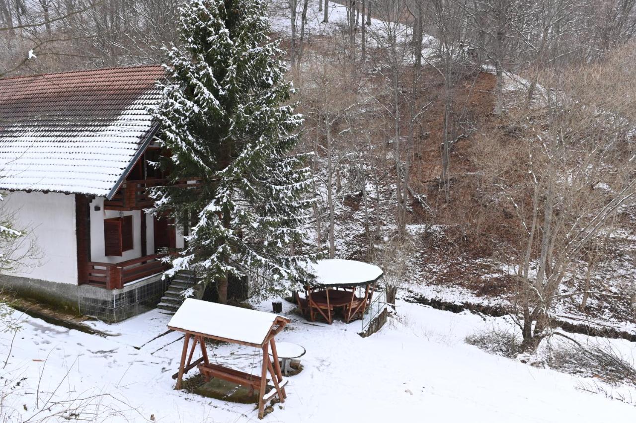 Casa De Vacanta Satic Piatra Craiului La Doi Viermi Zewnętrze zdjęcie