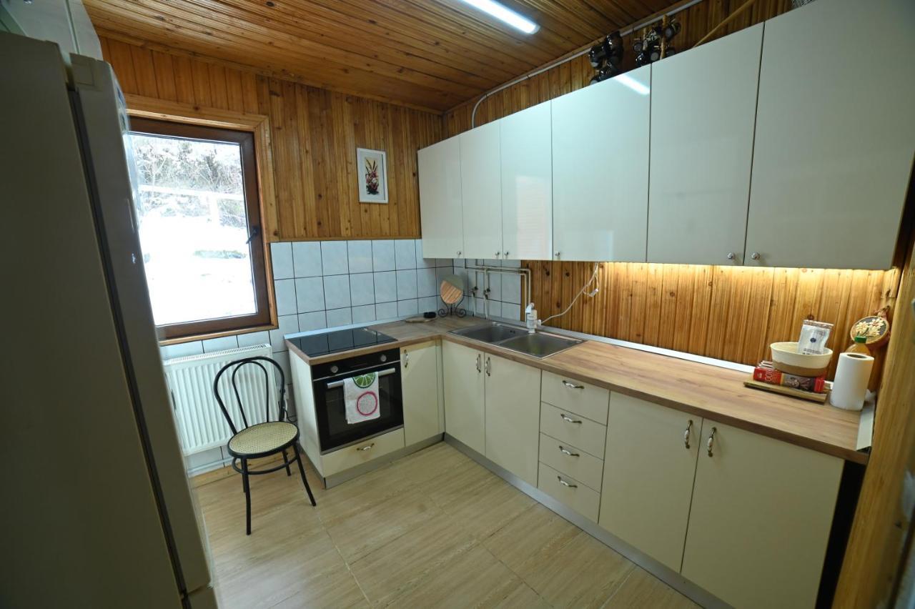 Casa De Vacanta Satic Piatra Craiului La Doi Viermi Zewnętrze zdjęcie