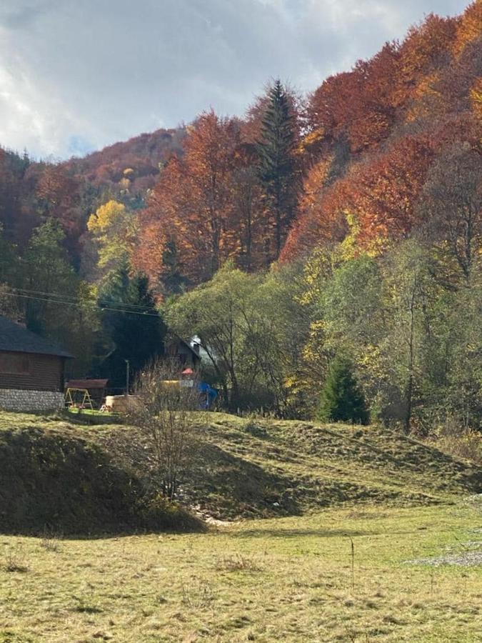 Casa De Vacanta Satic Piatra Craiului La Doi Viermi Zewnętrze zdjęcie