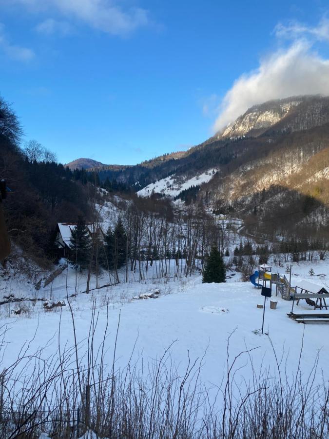 Casa De Vacanta Satic Piatra Craiului La Doi Viermi Zewnętrze zdjęcie