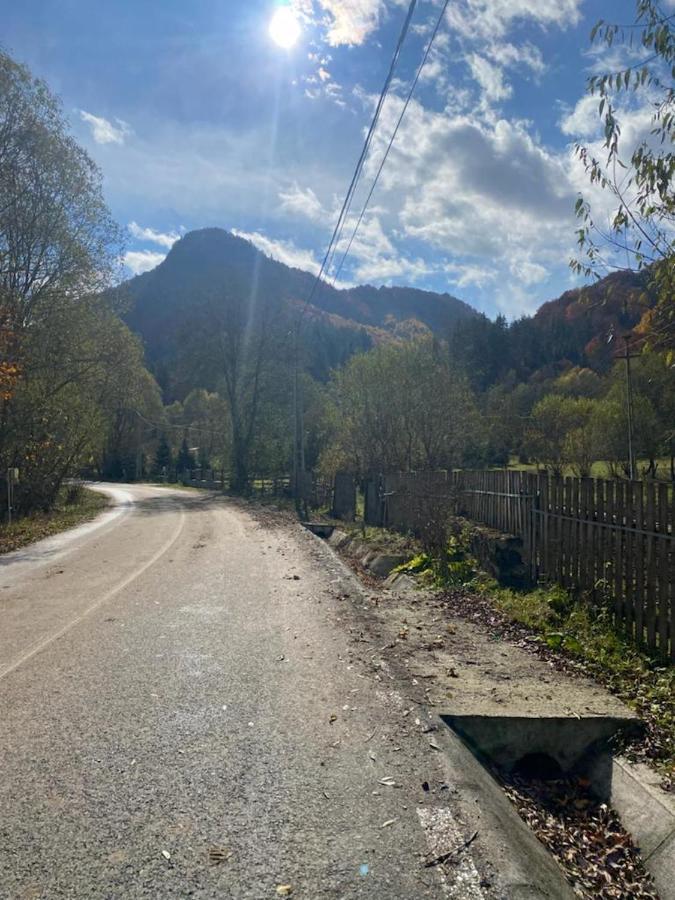 Casa De Vacanta Satic Piatra Craiului La Doi Viermi Zewnętrze zdjęcie