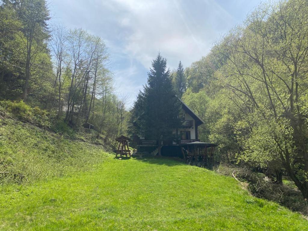 Casa De Vacanta Satic Piatra Craiului La Doi Viermi Zewnętrze zdjęcie