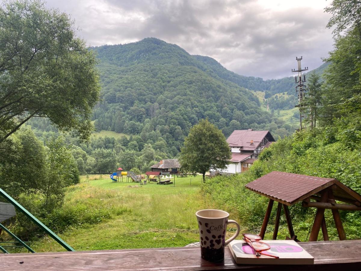 Casa De Vacanta Satic Piatra Craiului La Doi Viermi Zewnętrze zdjęcie