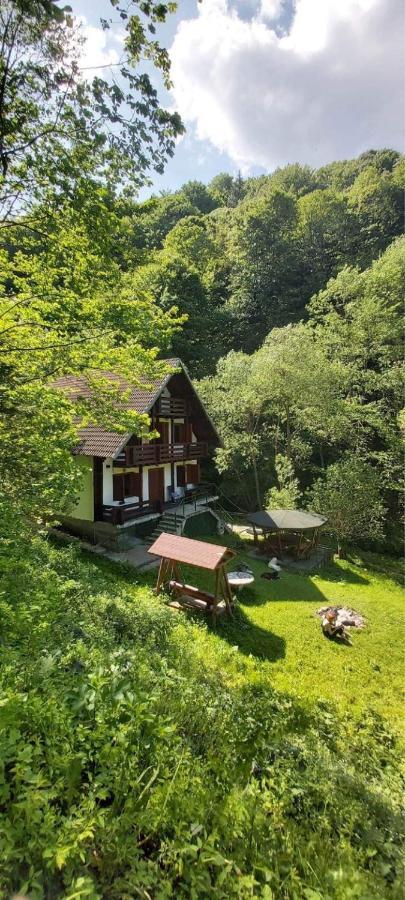 Casa De Vacanta Satic Piatra Craiului La Doi Viermi Zewnętrze zdjęcie