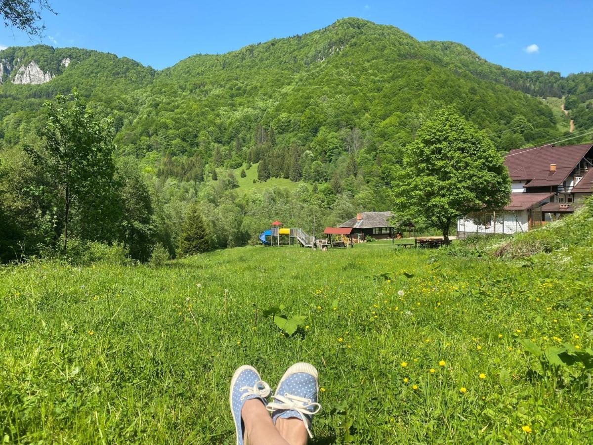 Casa De Vacanta Satic Piatra Craiului La Doi Viermi Zewnętrze zdjęcie