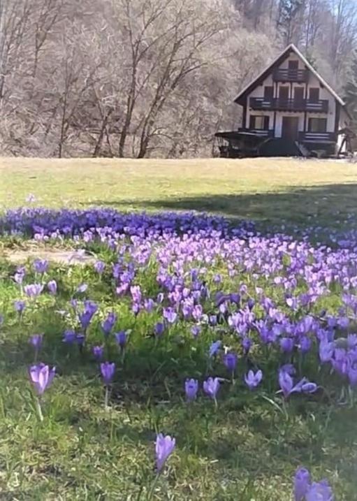 Casa De Vacanta Satic Piatra Craiului La Doi Viermi Zewnętrze zdjęcie