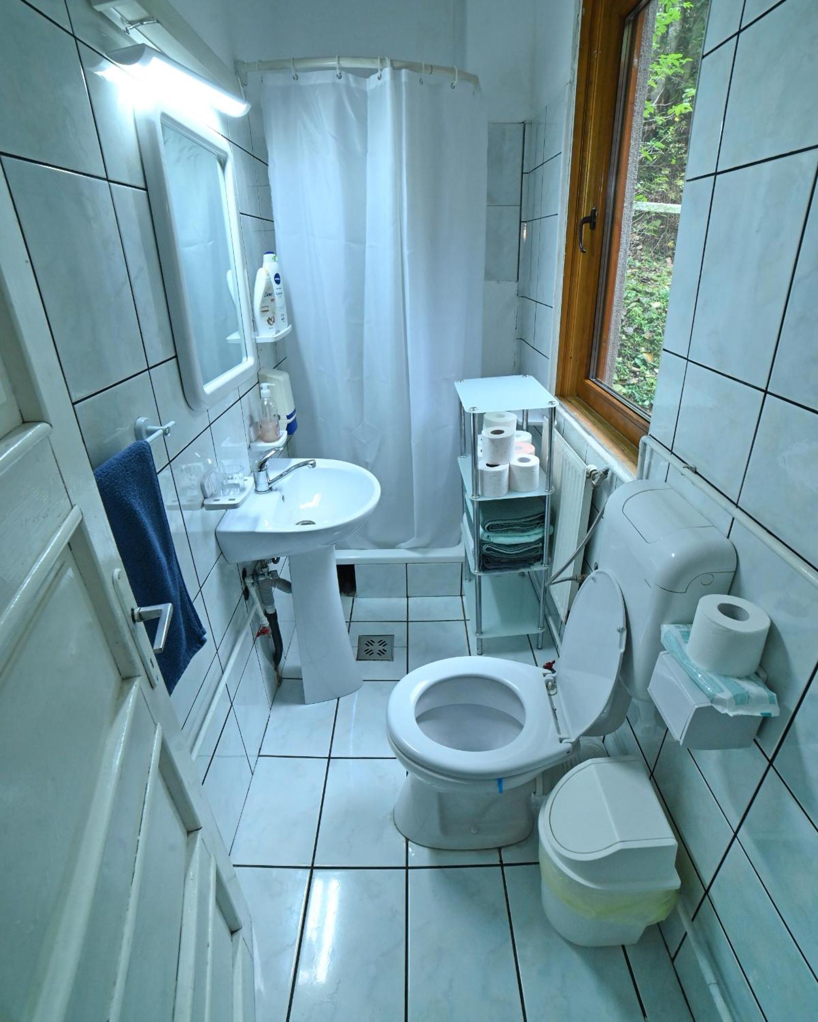 Casa De Vacanta Satic Piatra Craiului La Doi Viermi Zewnętrze zdjęcie